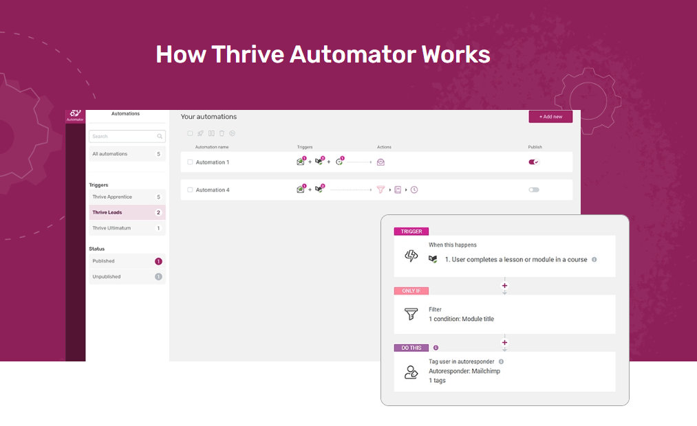 thrive automator thrive automator